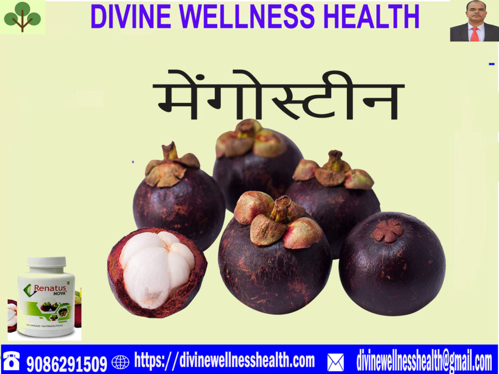 Benefits Of Mangosteen Hindi | divinewellnesshealth