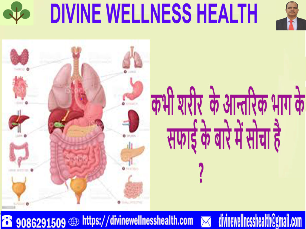 Human internal organs cleansing 