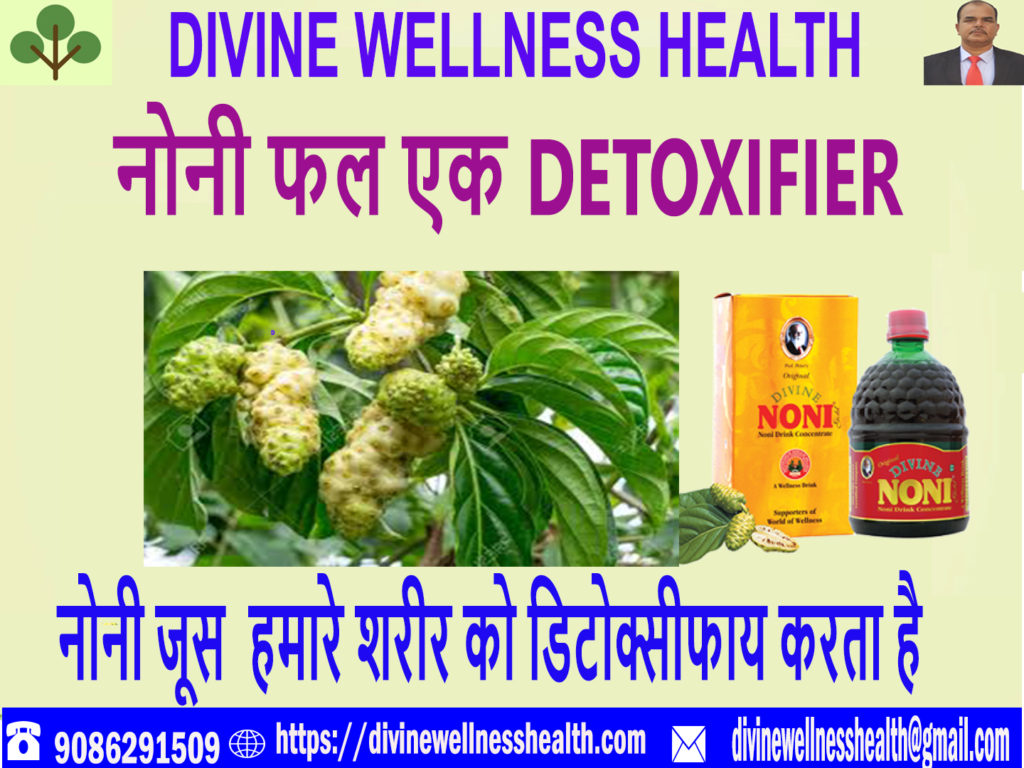 Detoxification noni fruit |divinewellnesshealth
