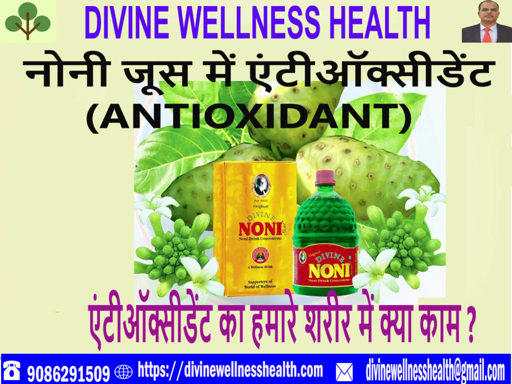 Antioxidant in Noni | divinewellnesshealth