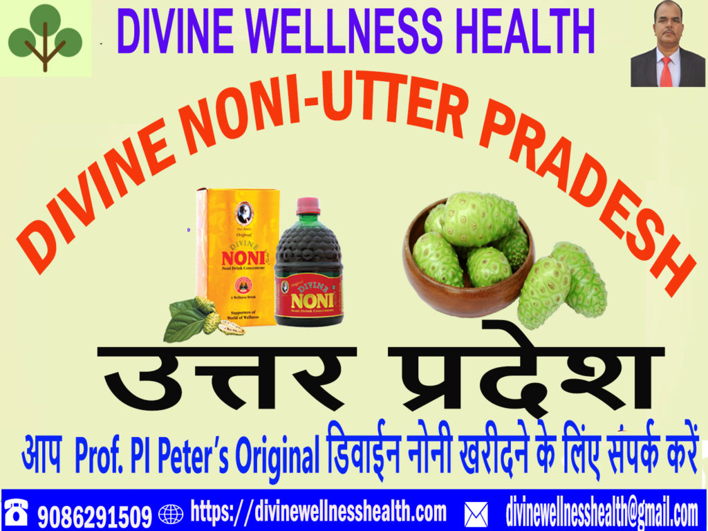 Divine Noni Uttar Pradesh | Divinewellnesshealth