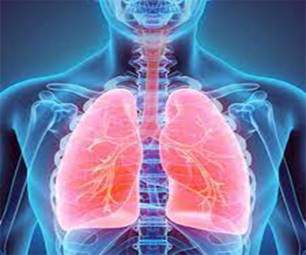 फेफड़ा (Lungs) और नोनी | divinewellnesshealth