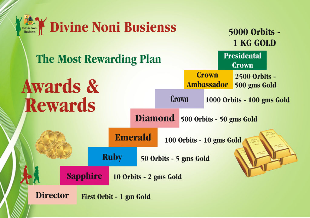 Divine Noni Plan Presentation