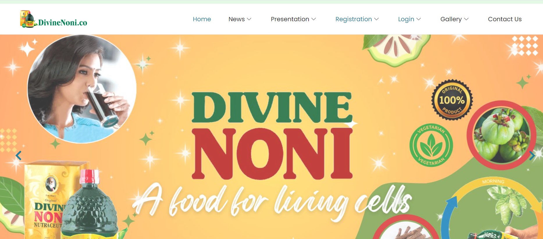 Divine Noni Business Plan